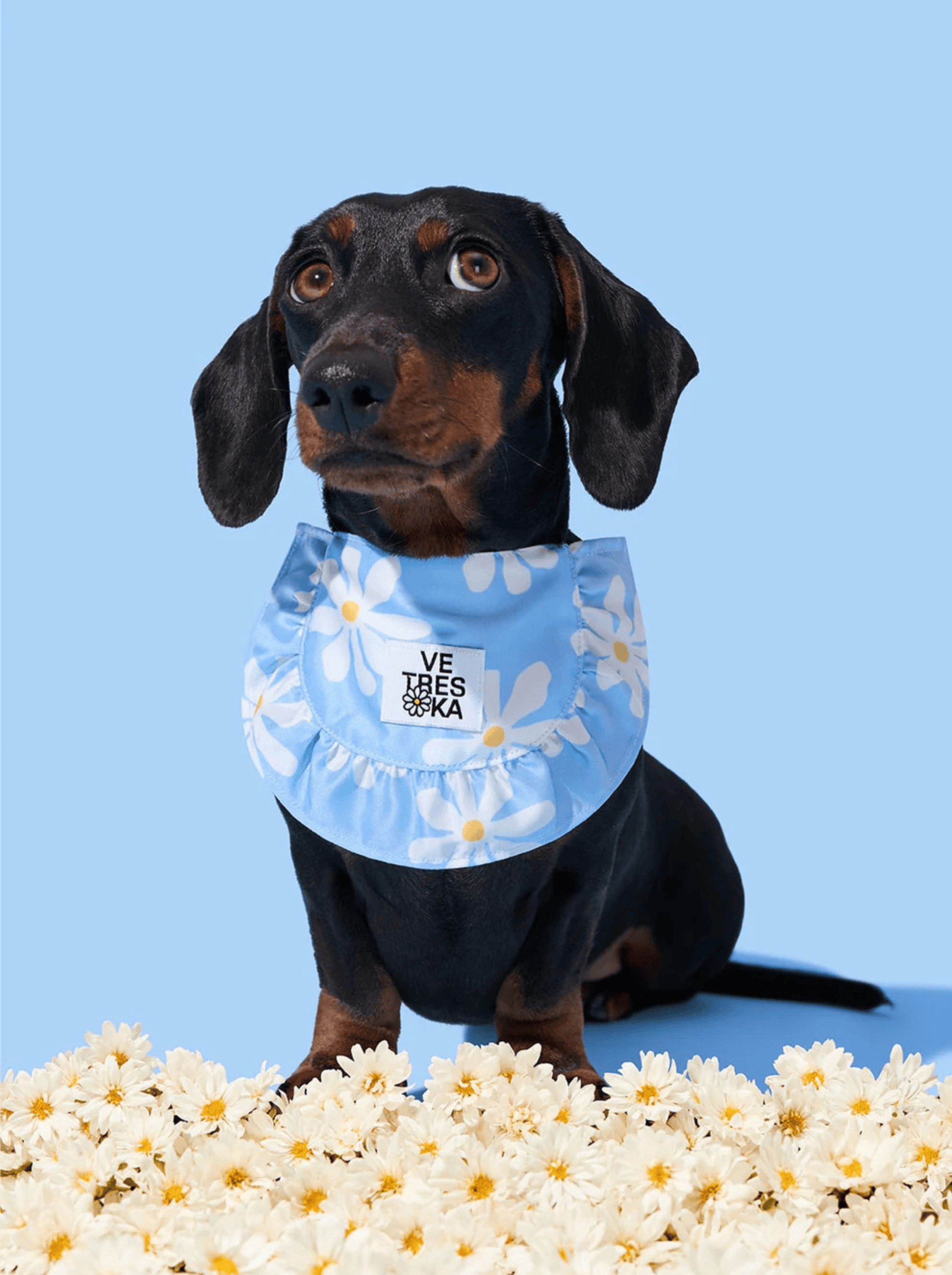 VETRESKA Daisy Pet Bib 8 min