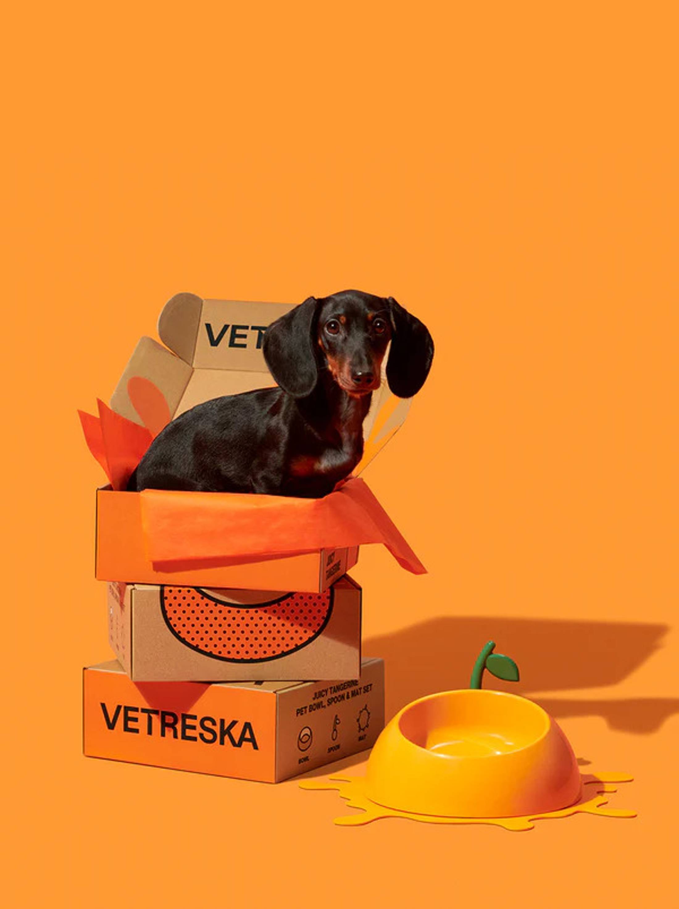 VETRESKA Juicy Tangerine Pet Bowl Spoon Mat Set 6